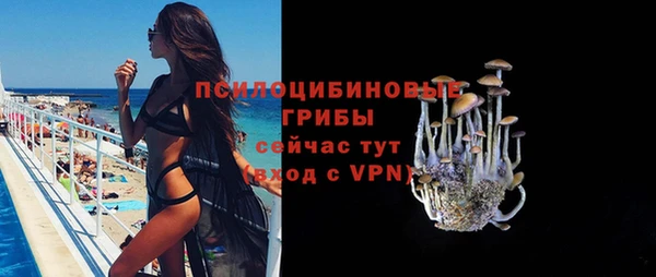 прущие грибы Абдулино