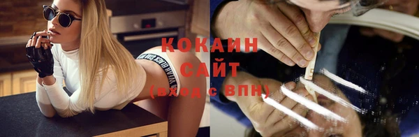 прущие грибы Абдулино