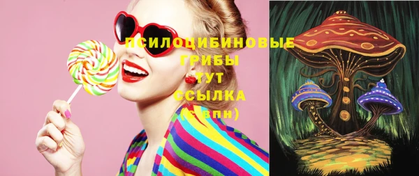 прущие грибы Абдулино