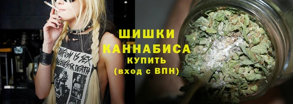 прущие грибы Абдулино