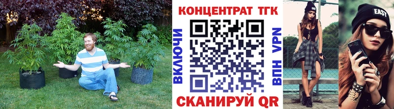 ТГК концентрат  Курчатов 